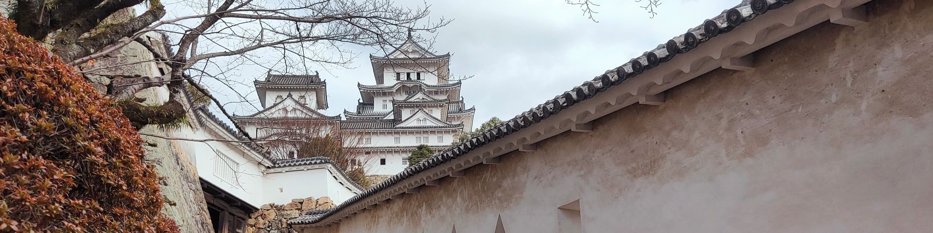 跟著相機去旅行