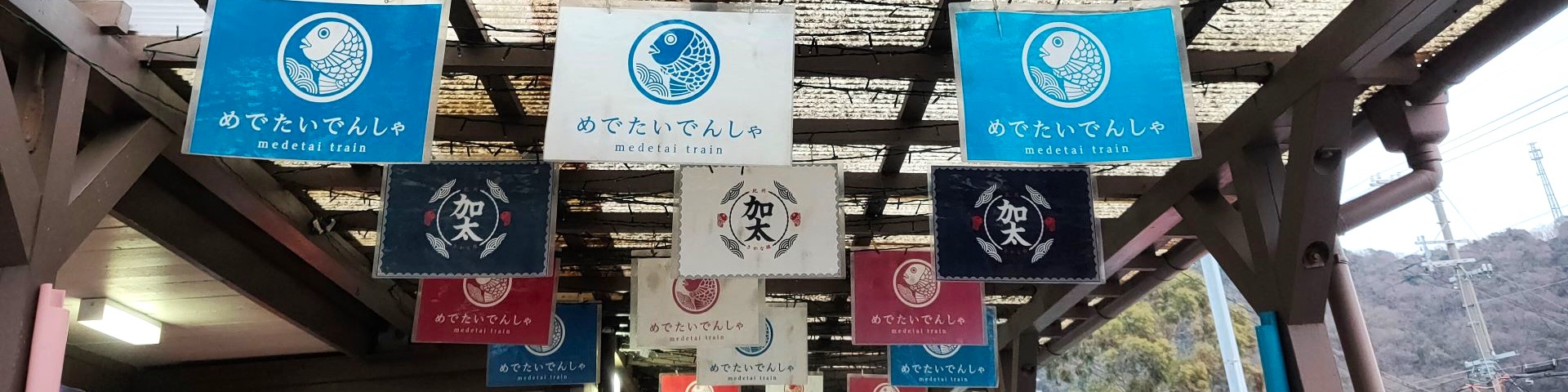 跟著相機去旅行